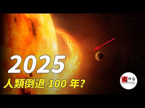 2025年是什麼年|2025年